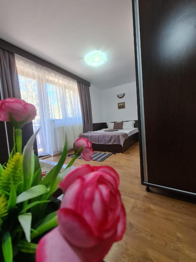Casa Teleferic Ξενοδοχείο Buşteni Εξωτερικό φωτογραφία